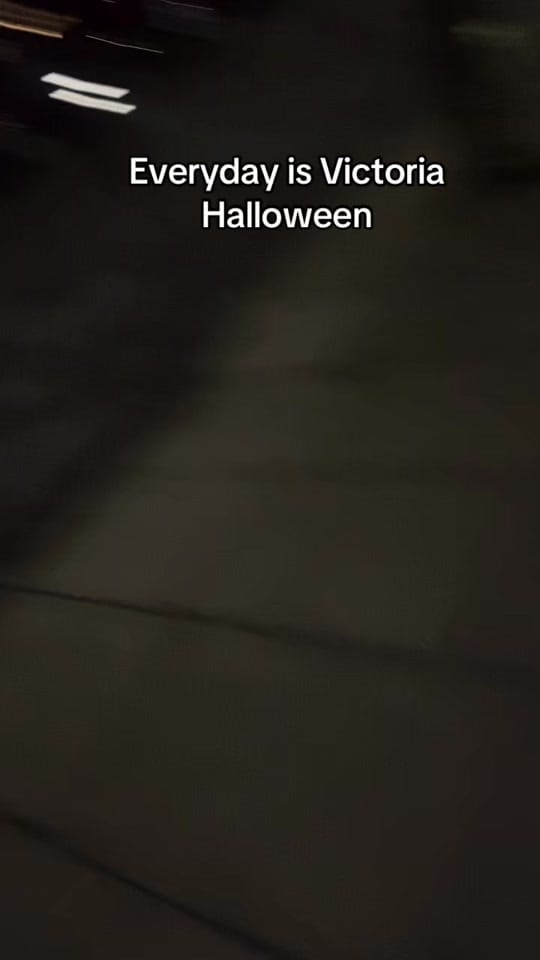 Post 4 by Annie on TikTok (video)