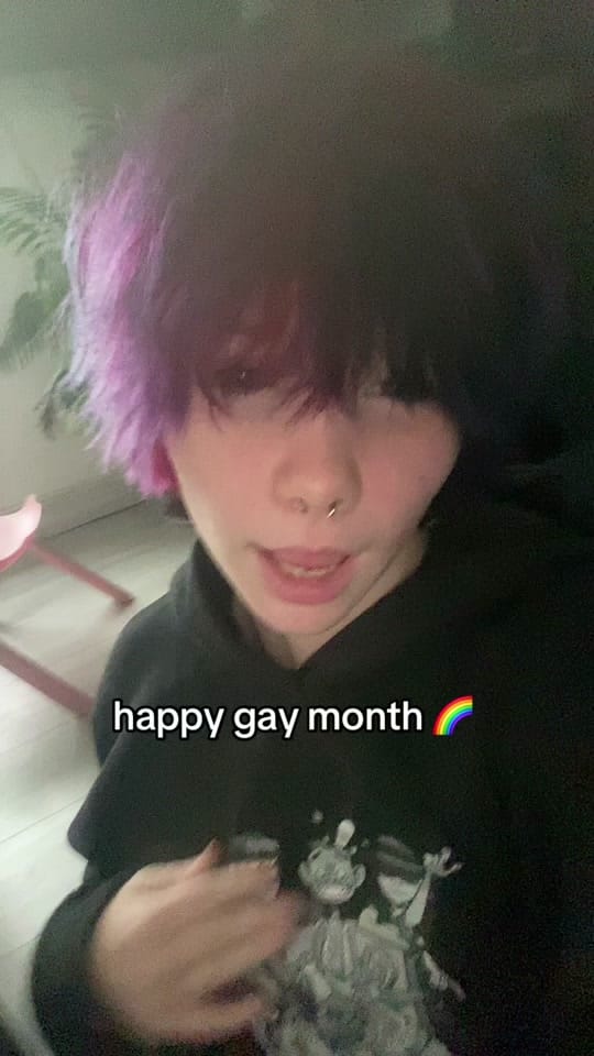 Post 4 by | ͜͝།ེ     Ray / Soren    𐂯ྀི on TikTok (video)