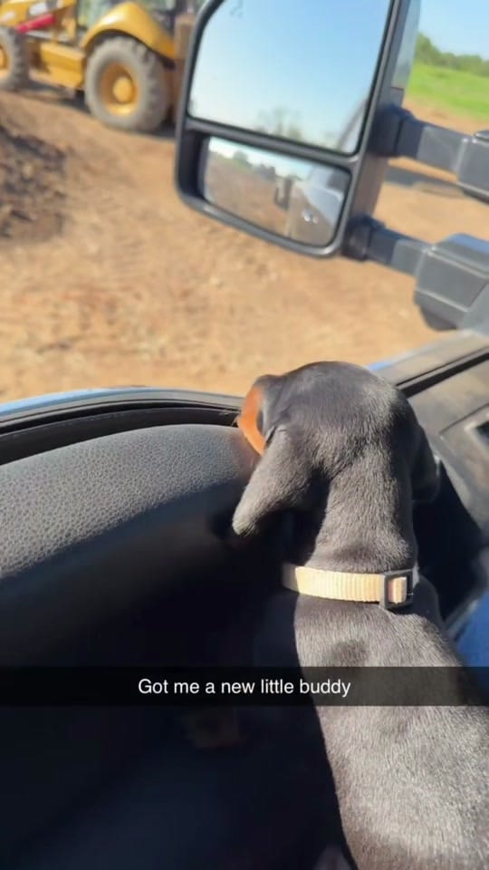 Post 1 by Kyle Gates on TikTok (video)