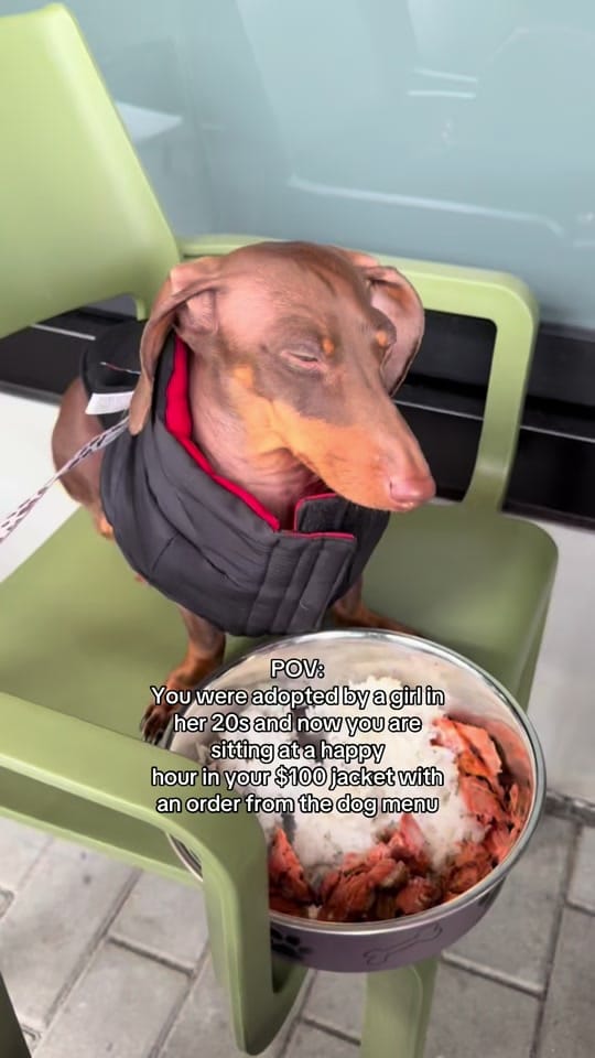 Post 2 by 🌻Sovereign on TikTok (video)
