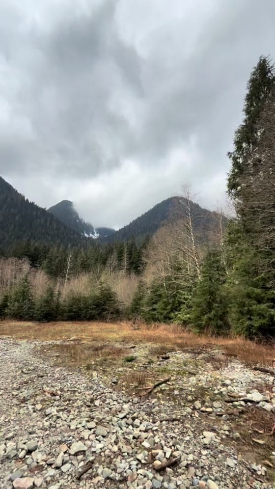 Post 6 by 🌻Sovereign on TikTok (video)