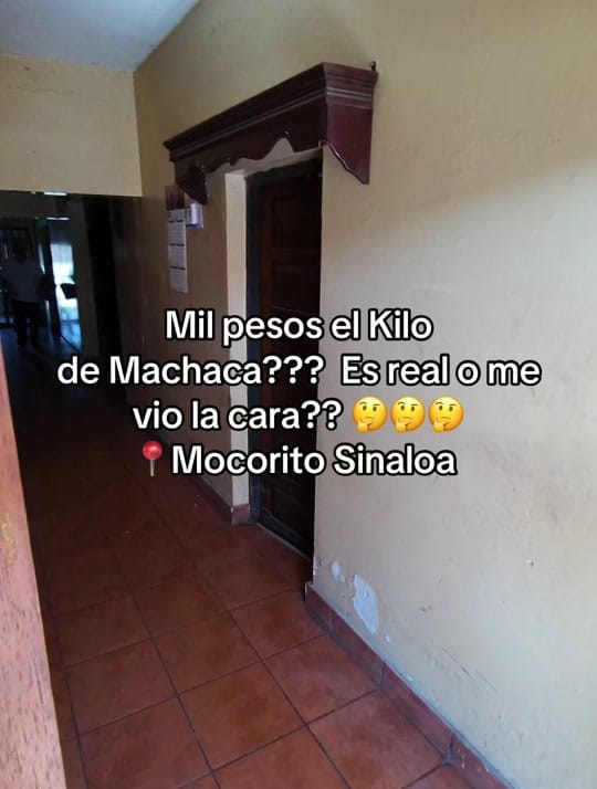Post 5 by elsinllorar on TikTok (video)