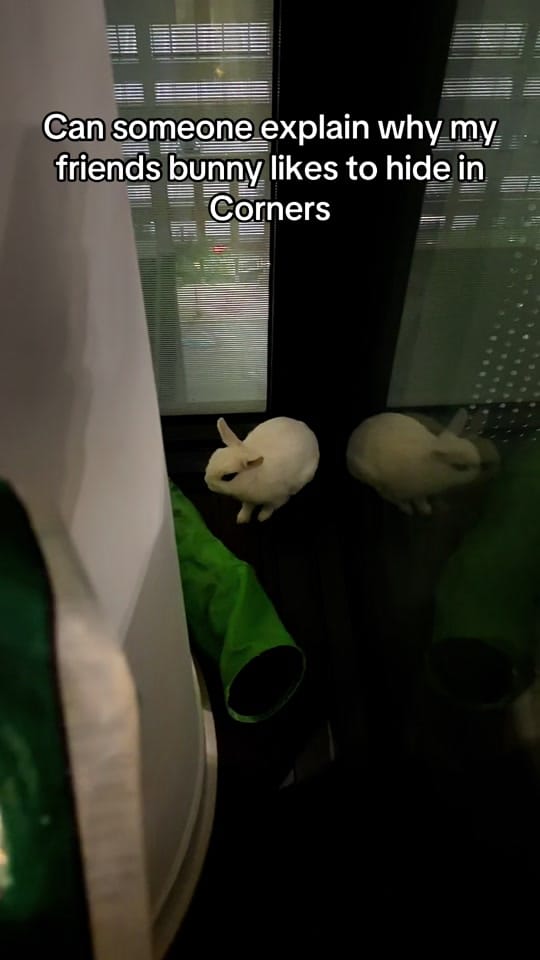 Post 5 by Jinho | Oppa Bhai on TikTok (video)