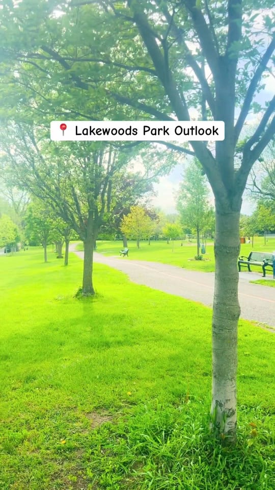 Post 5 by About Us_Maple Land on TikTok (video)