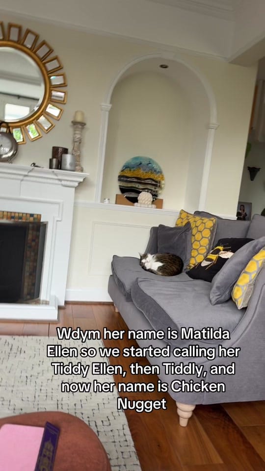 Post 2 by Eve Shanu-Wilson on TikTok (video)