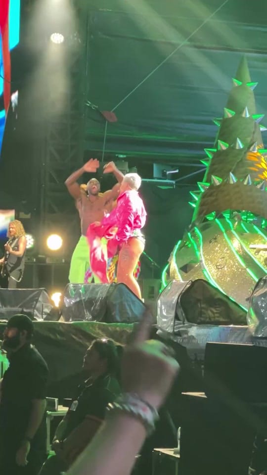 Post 5 by P!NK | FAN PAGE on TikTok (video)