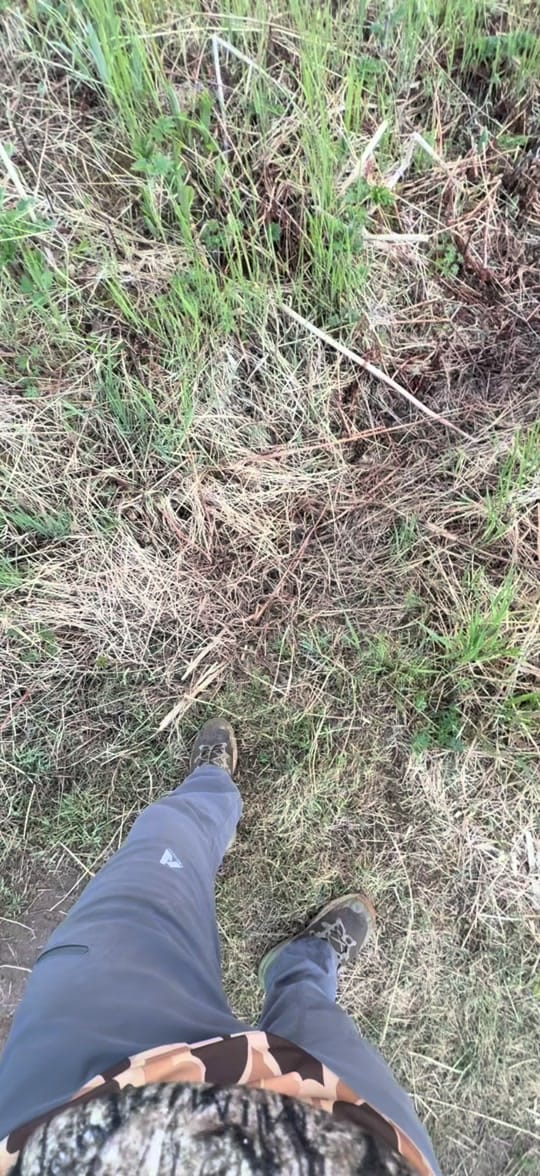 Post 2 by Garrett on TikTok (video)