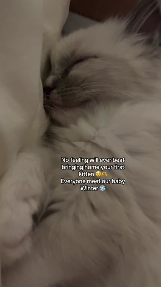 Post 6 by Soph 🪩✨🪩✨ on TikTok (video)