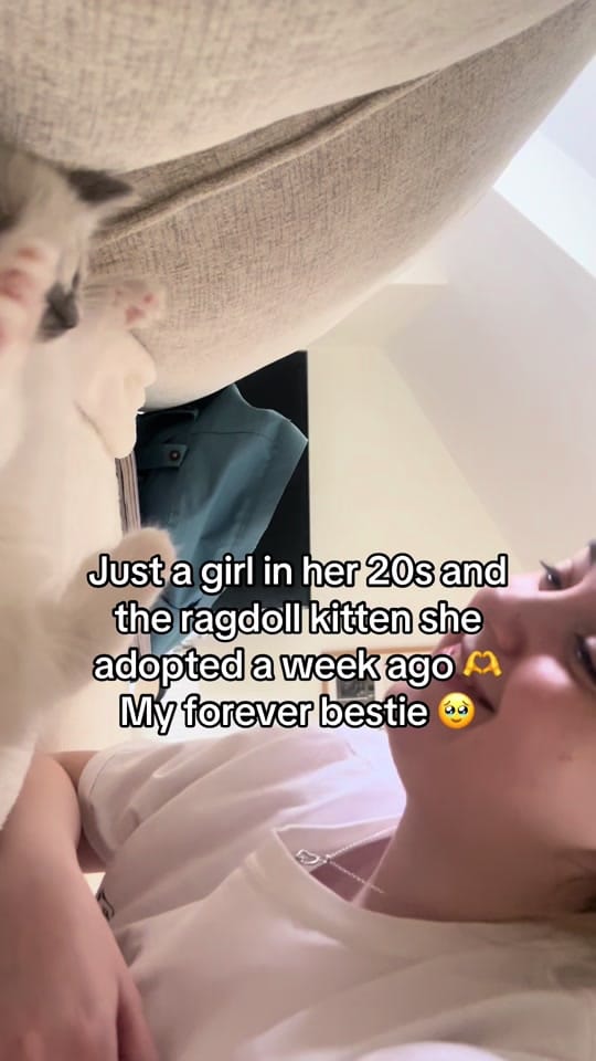 Post 3 by Soph 🪩✨🪩✨ on TikTok (video)