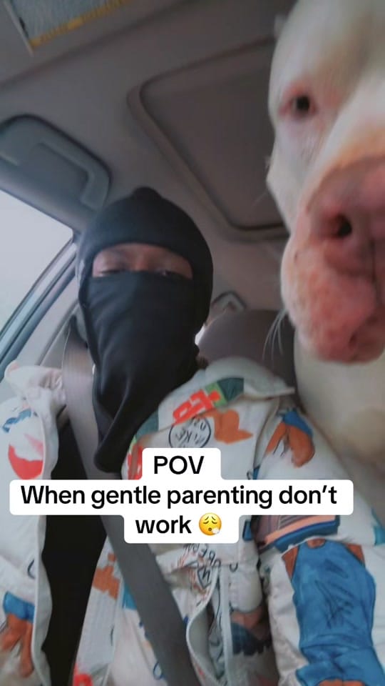 Post 6 by RBKPAPI on TikTok (video)