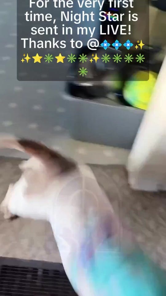 Post 9 by RBKPAPI on TikTok (video)