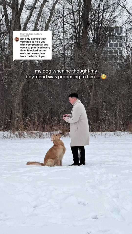 Post 8 by ELLE on TikTok (video)