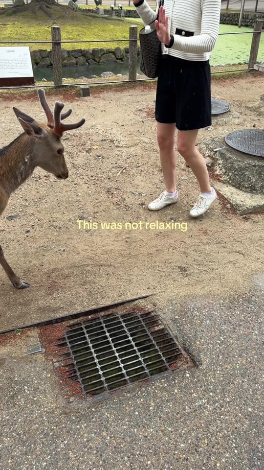 Post 8 by Nicolette Langer on TikTok (video)