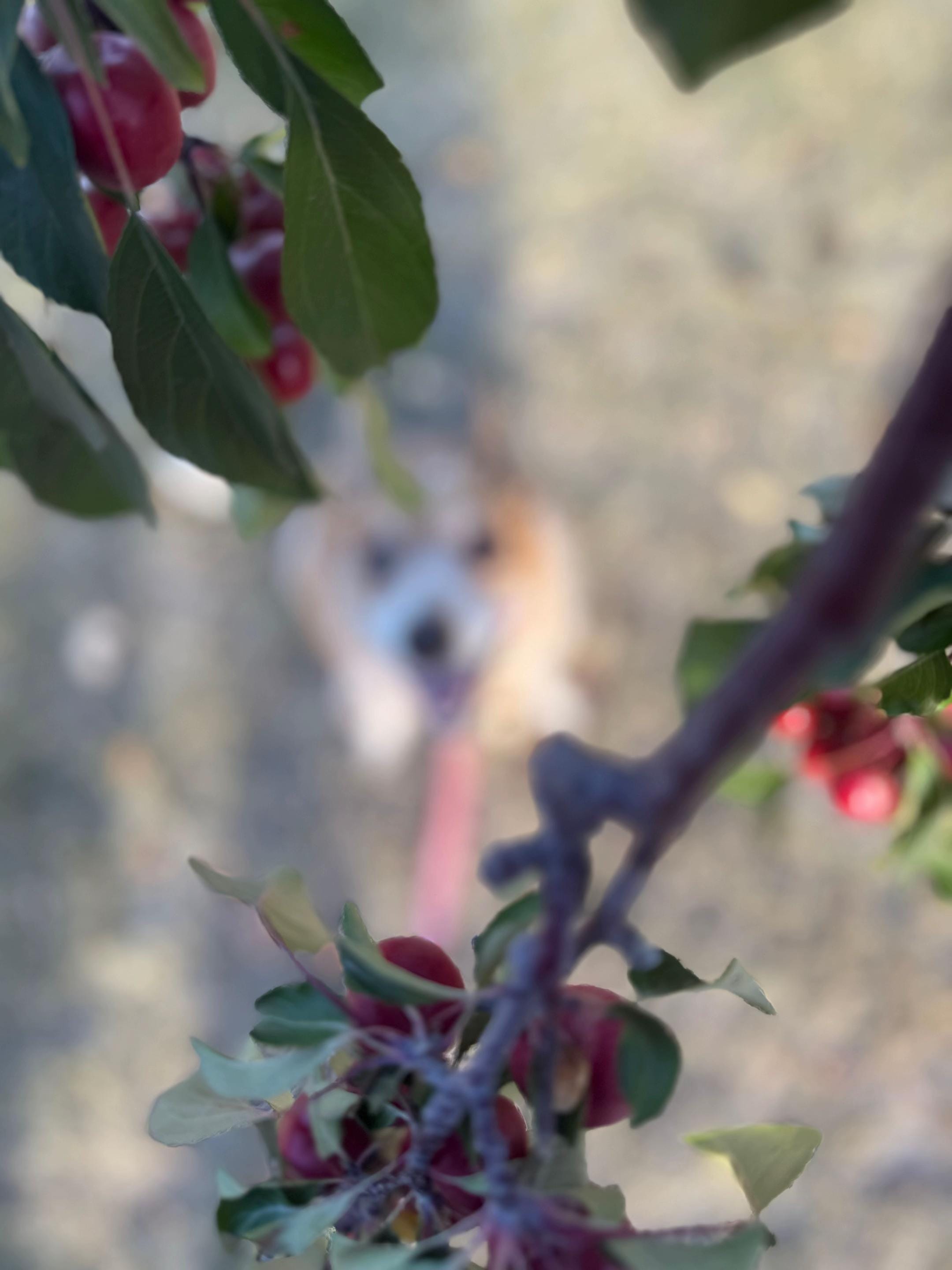 Post 7 by Lianne🇨🇦 on TikTok (video)