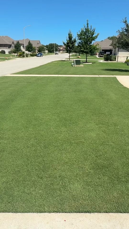 Post 7 by TheLawnFluencer on TikTok (video)