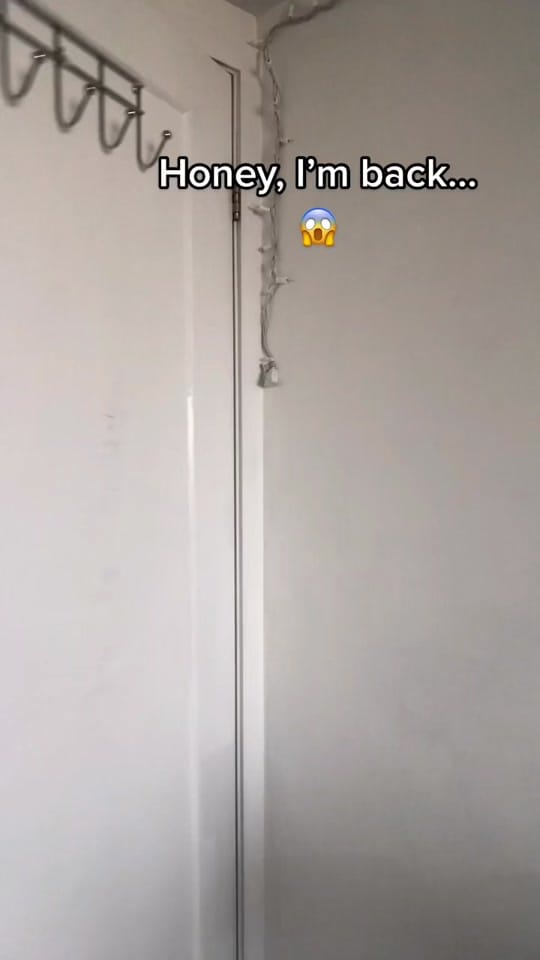 Post 10 by Mikael Melo on TikTok (video)