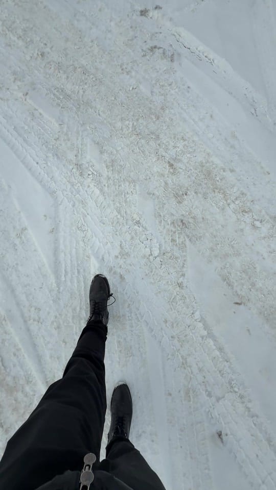 Post 10 by Danial Zolfaghari on TikTok (video)