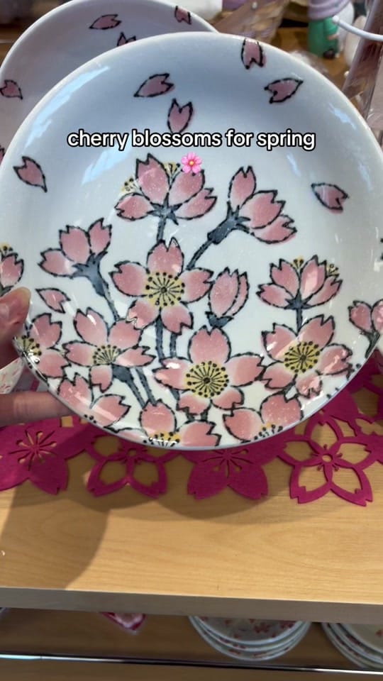 Post 3 by Oomomo, AB 🇨🇦 on TikTok (video)