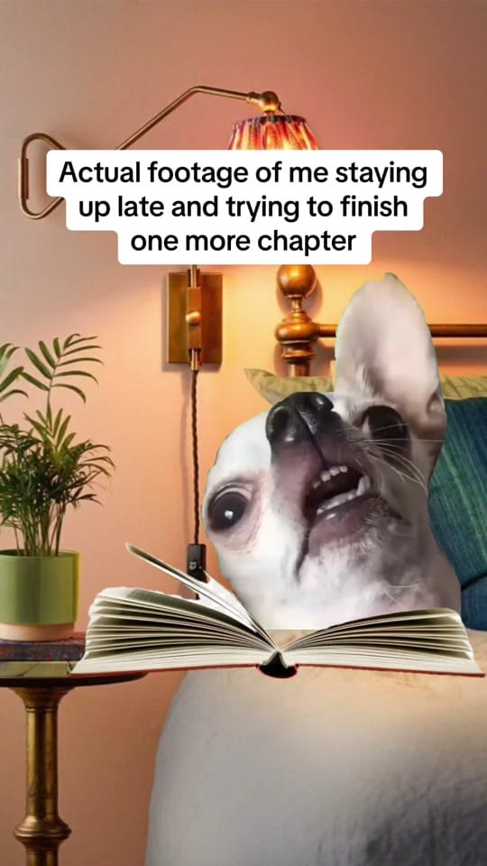 Post 10 by Amber📖🧿🥀🐉 on TikTok (video)