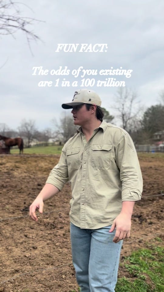 Post 6 by Dan Marshall on TikTok (video)