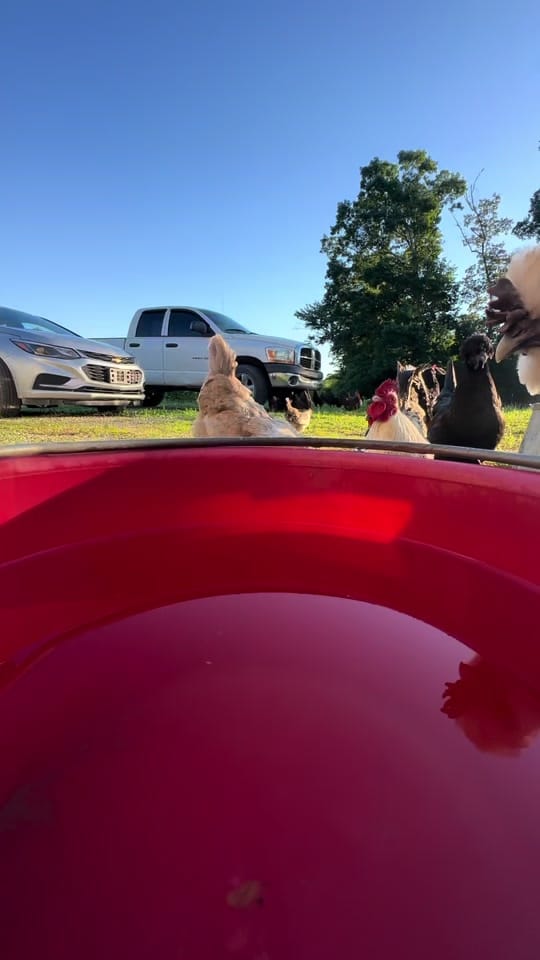 Post 7 by melinda Sizemore on TikTok (video)