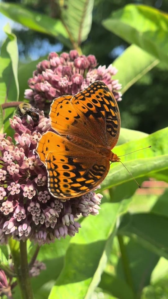Post 6 by melinda Sizemore on TikTok (video)