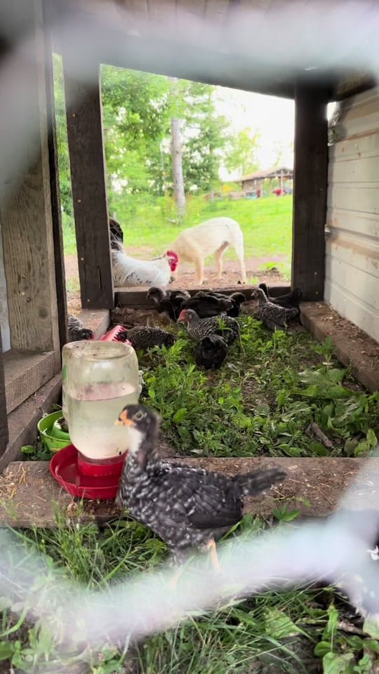 Post 5 by melinda Sizemore on TikTok (video)