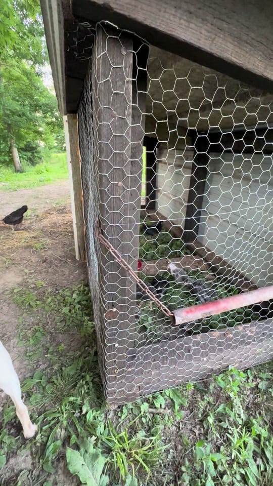 Post 2 by melinda Sizemore on TikTok (video)