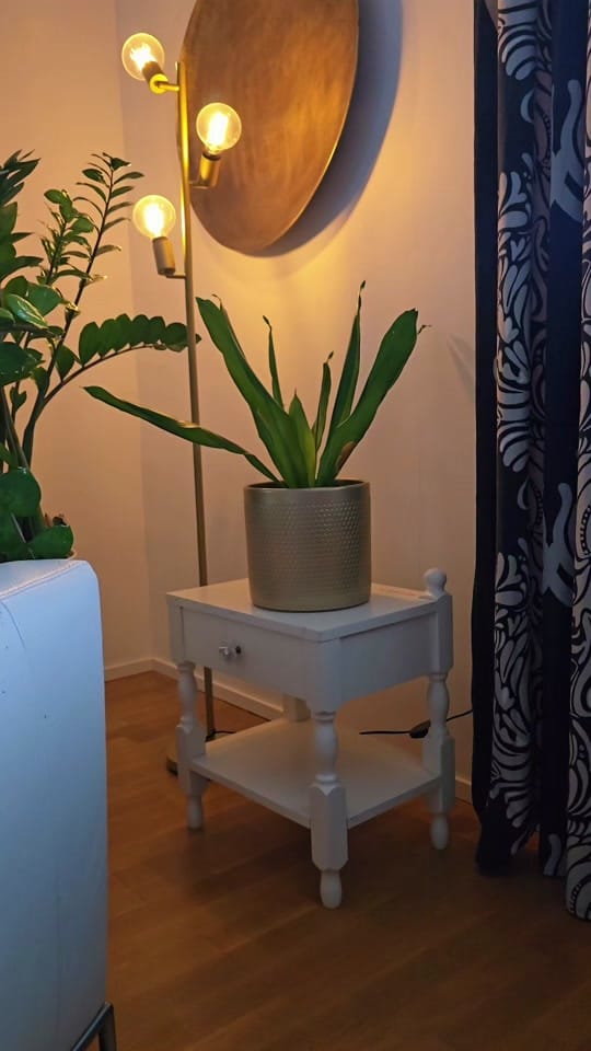 Post 4 by Medialapio on TikTok (video)