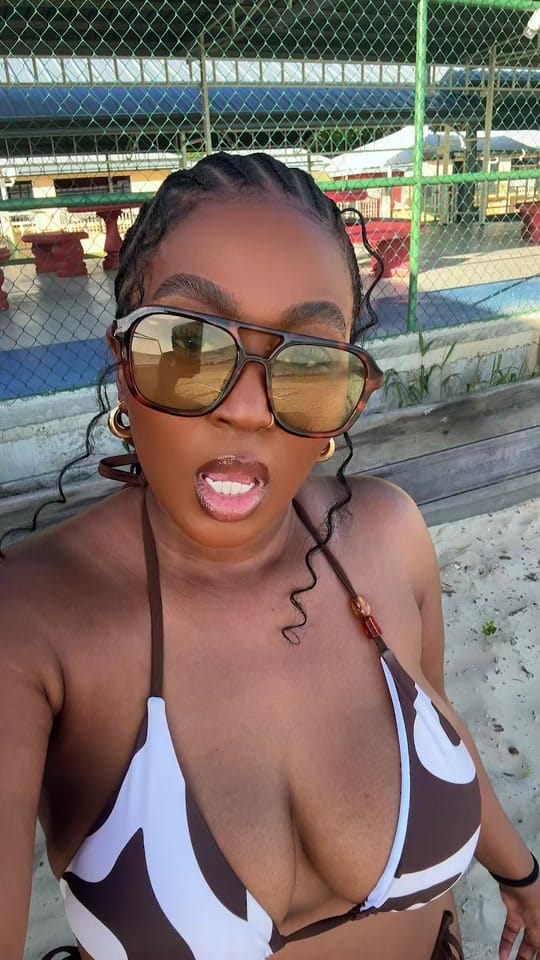 Post 4 by Rayanne Samantha on TikTok (video)
