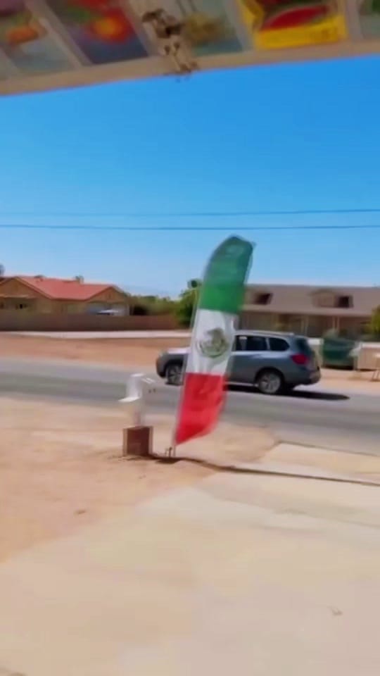 Post 4 by Btdjokes on TikTok (video)