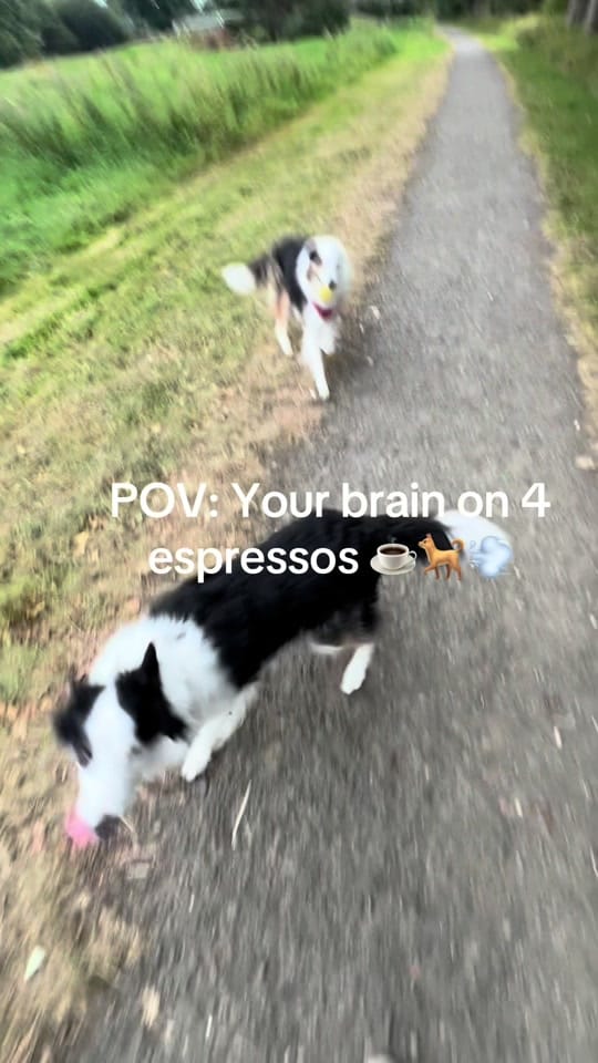 Post 3 by NoGymNoProbelm on TikTok (video)
