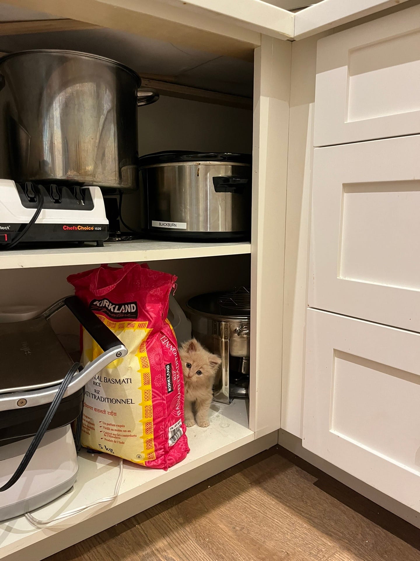 Post 10 by Abbi | REALTOR ® on TikTok (video)