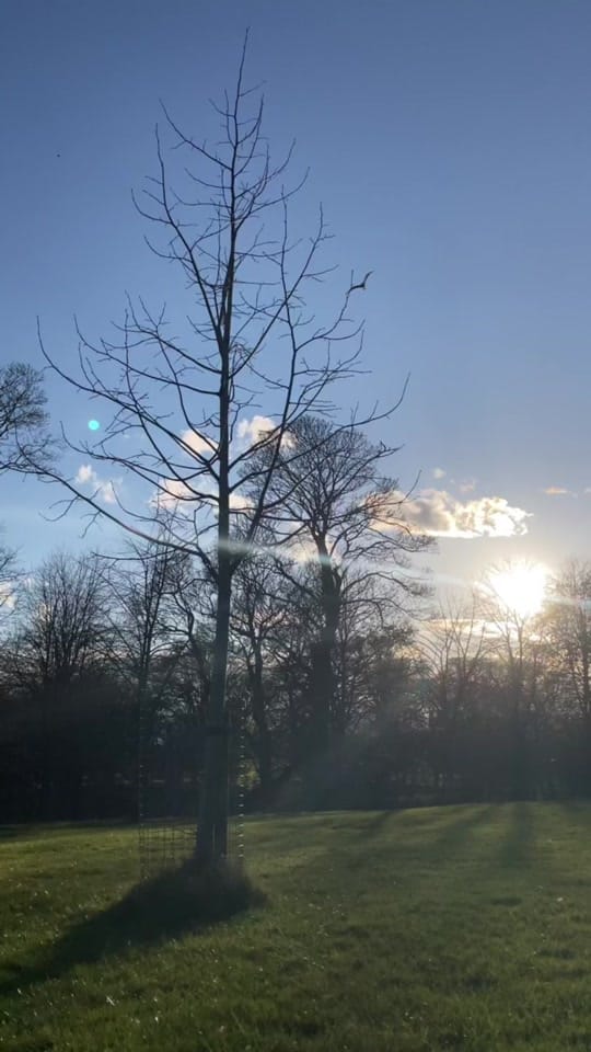 Post 9 by Dray Electronica on TikTok (video)