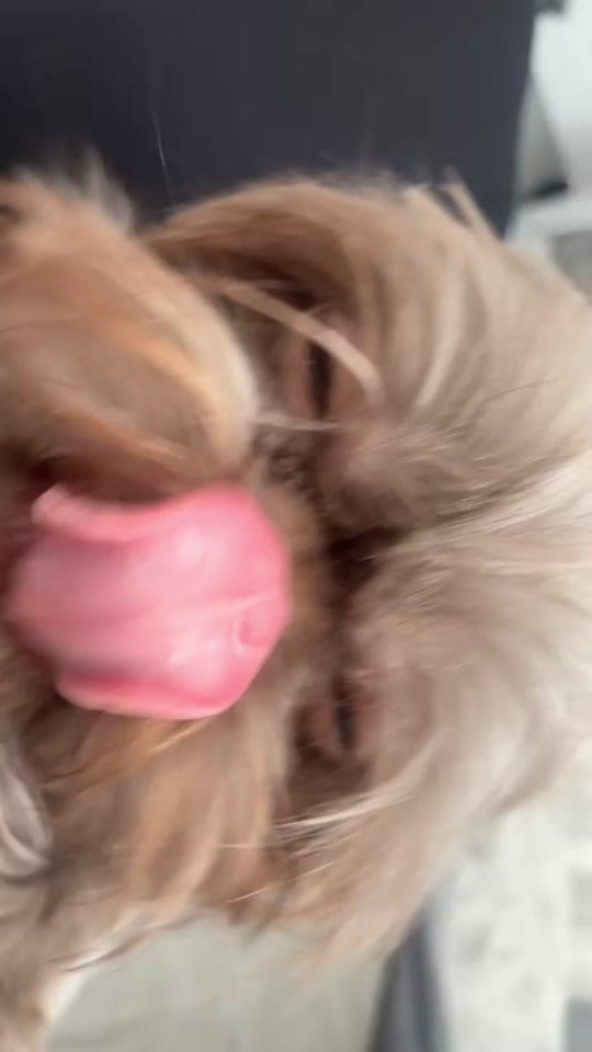 Post 9 by Emilie Leslie on TikTok (video)
