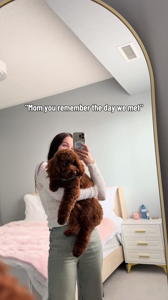 Post 8 by KHRYSTYNA on TikTok (video)