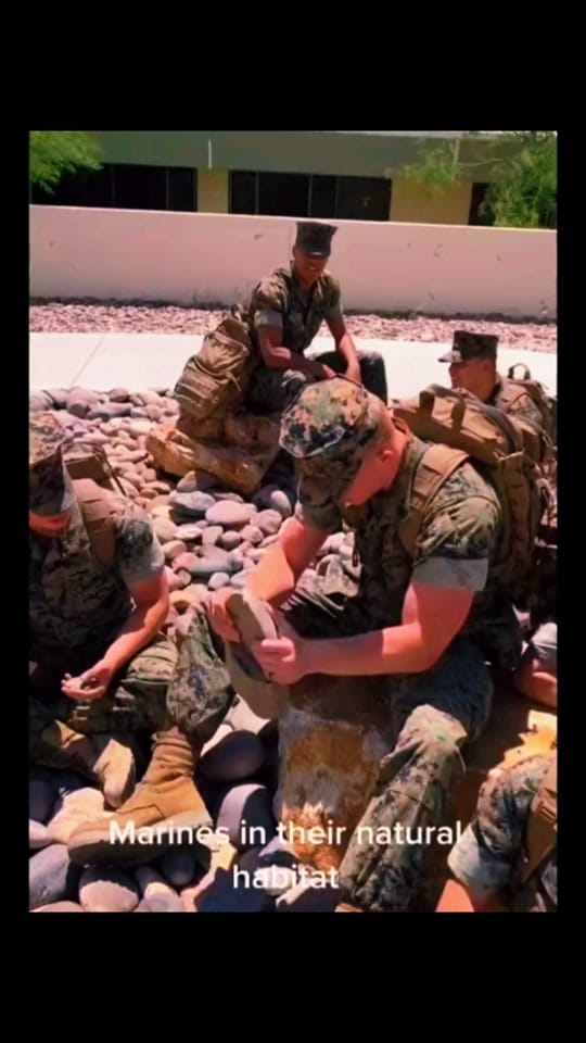 Post 6 by Military on TikTok (video)
