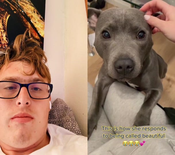 Post 2 by Mitchell kerbel on TikTok (video)