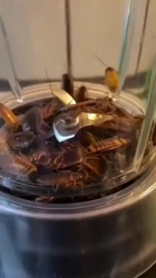 Post 7 by StattyMontana on TikTok (video)