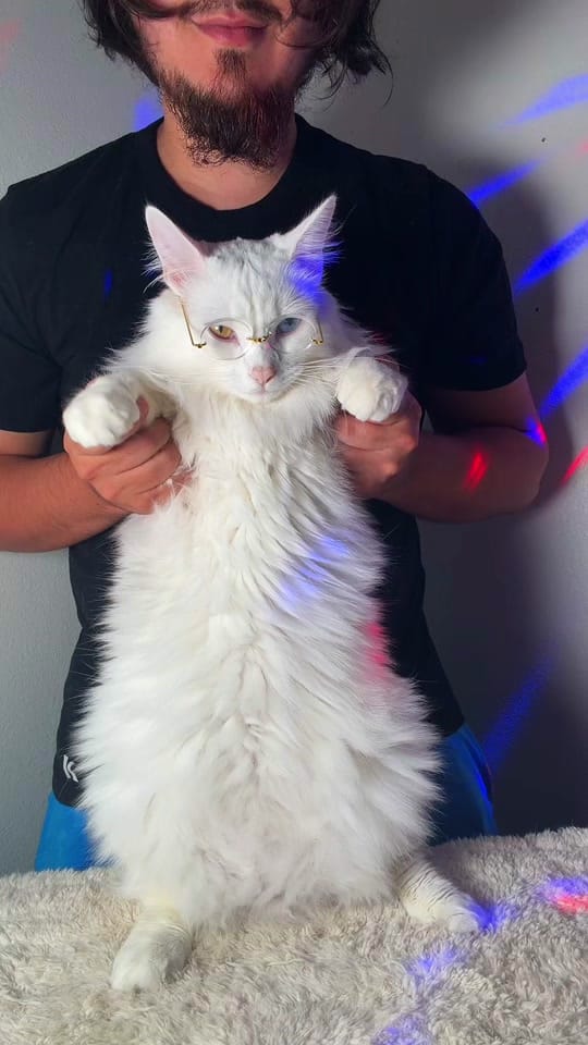 Post 2 by tippy.q on TikTok (video)