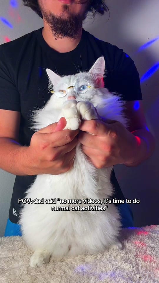 Post 1 by tippy.q on TikTok (video)