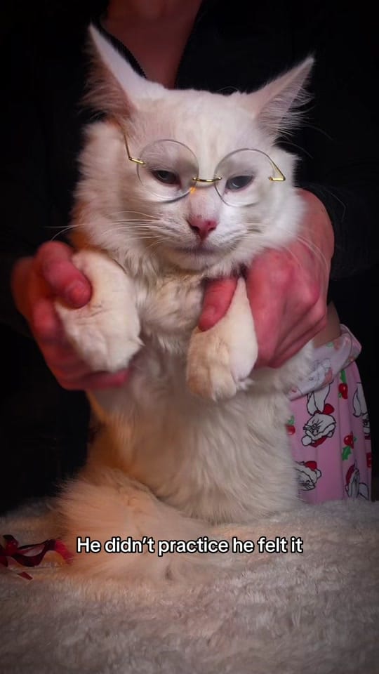 Post 9 by tippy.q on TikTok (video)