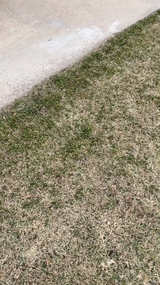 Post 10 by Jeremy Lucky on TikTok (video)