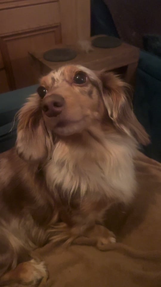 Post 5 by Nathan Collins on TikTok (video)