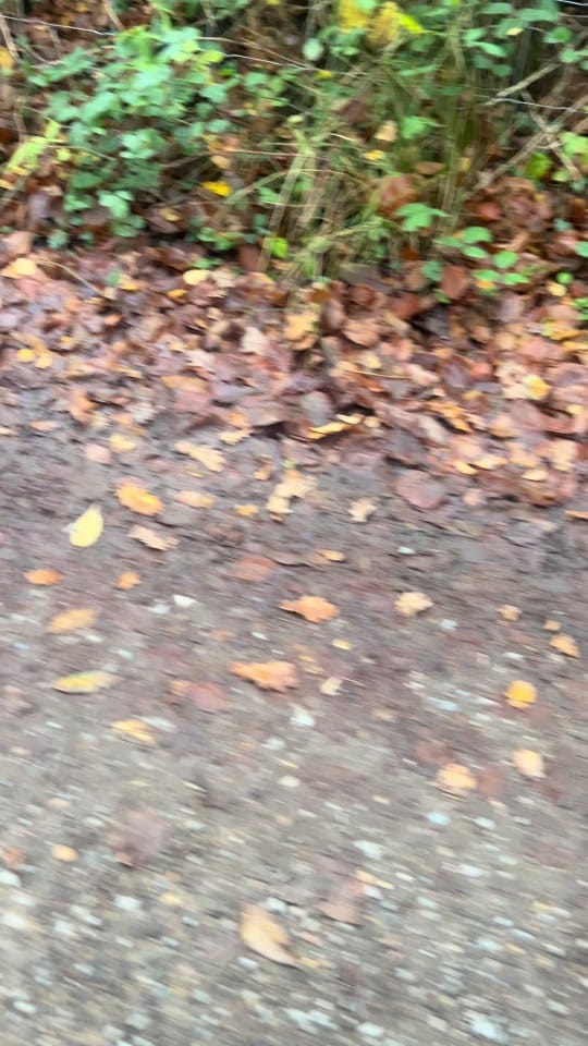 Post 6 by Nathan Collins on TikTok (video)