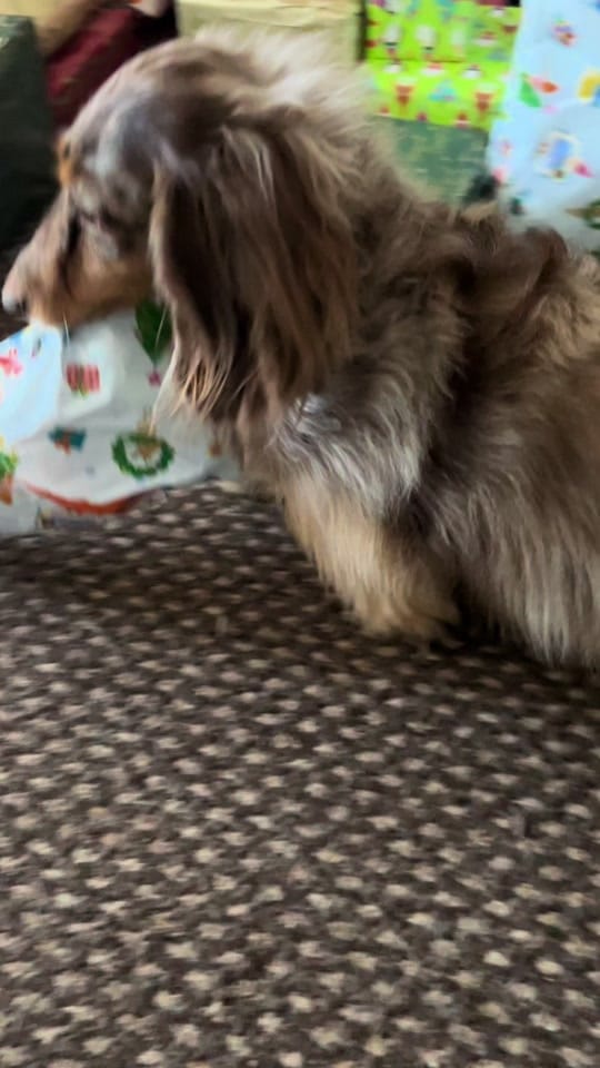 Post 2 by Nathan Collins on TikTok (video)