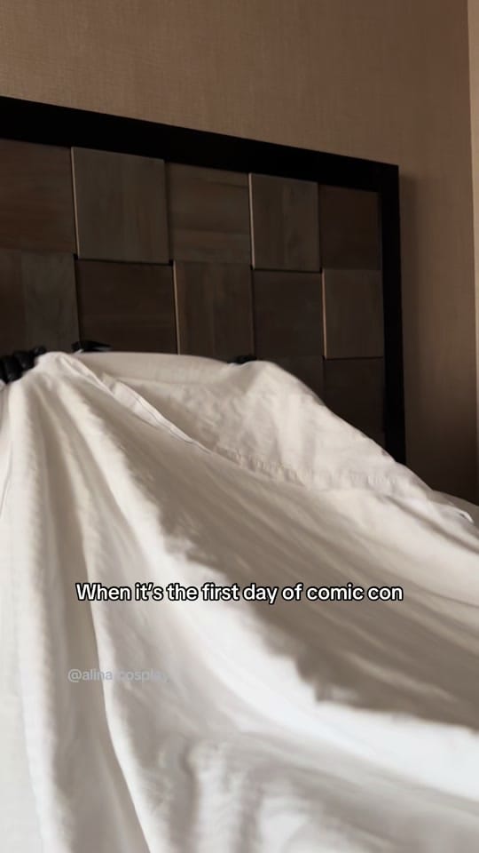 Post 6 by alina.cosplay on TikTok (video)
