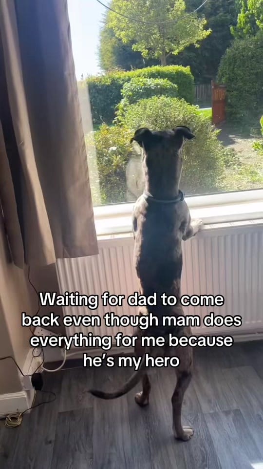 Post 6 by Amanda 👑 on TikTok (video)