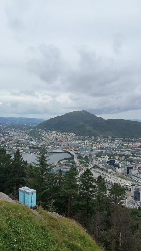 Post 9 by Nanosh on TikTok (video)