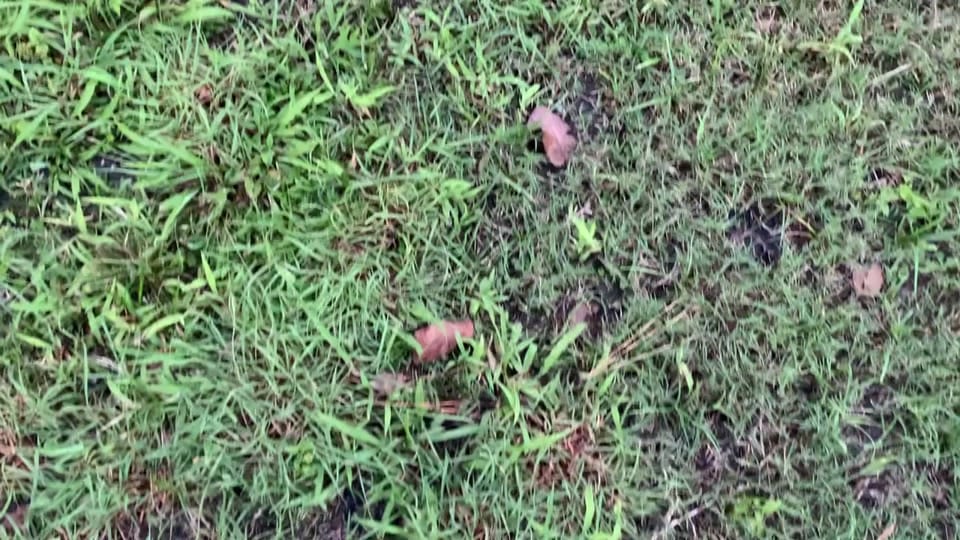 Post 9 by David K on TikTok (video)